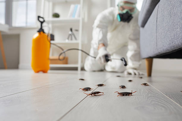 Post-Treatment Bed Bug Interceptor Monitoring in Plumsteadville